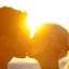 8 мифов о брачных агентствах